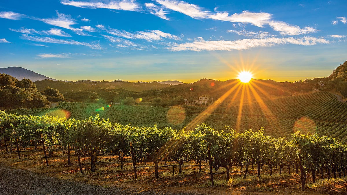 Unleashing Success Why American Wines Are Conquering the World! by