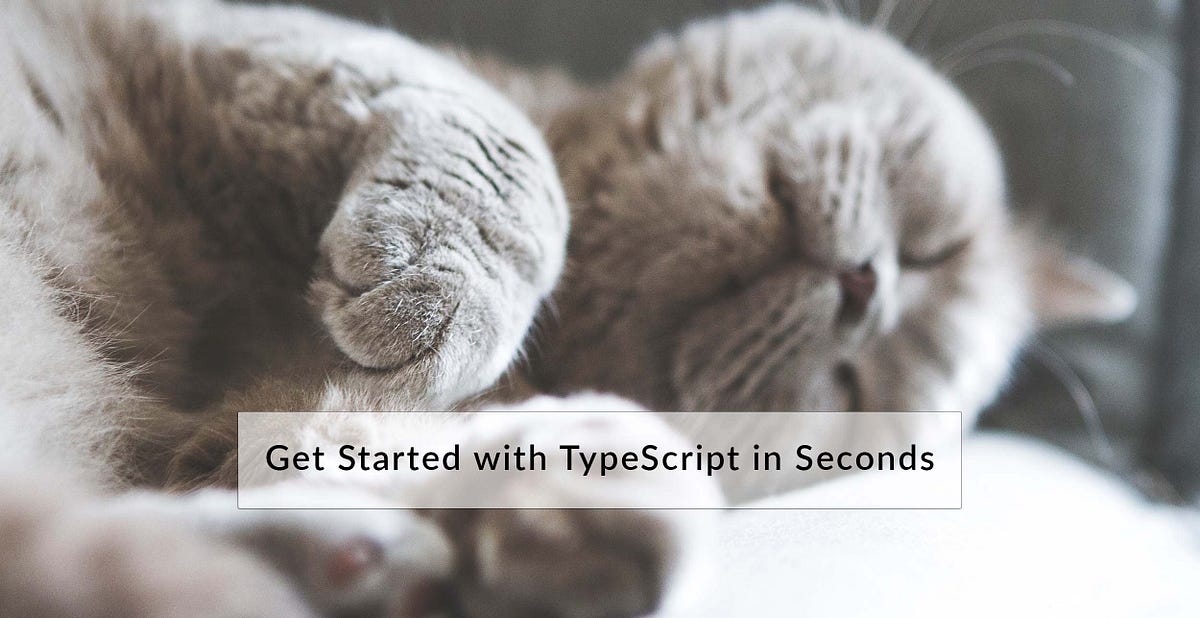Get started with TypeScript in seconds | by Jarrod Overson | Medium