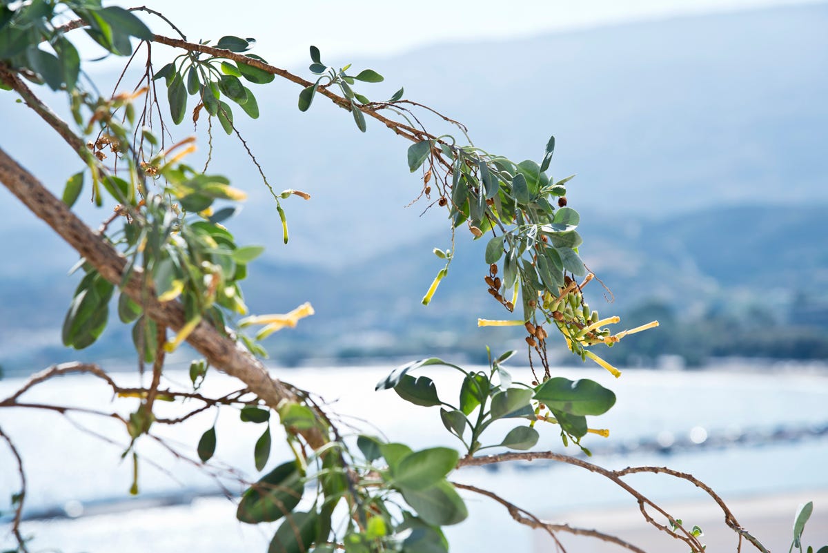Impressions of my new home Sitia