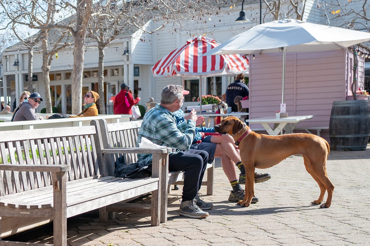 Image of: 3 Car-Free San Francisco Day Trips That Save Gas