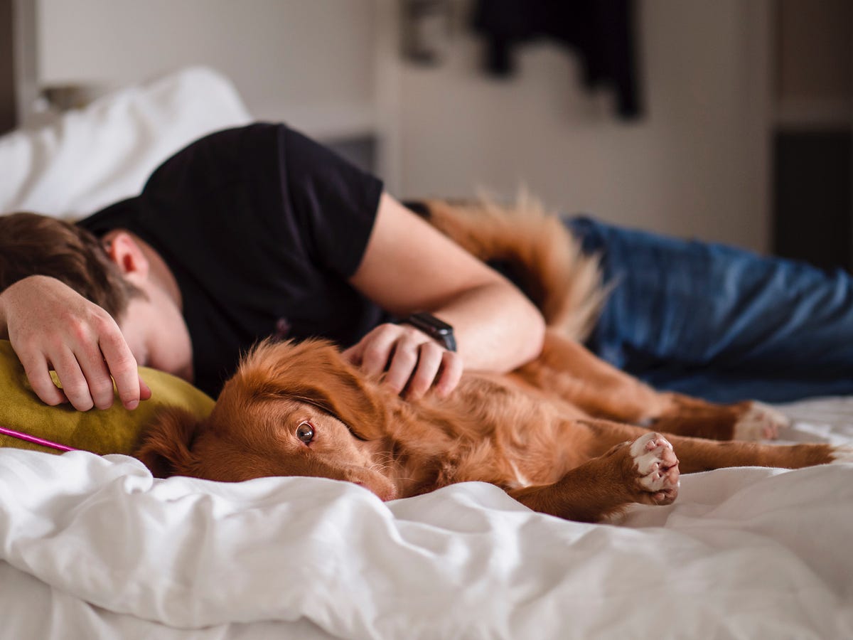 A Guide to the Benefits of Napping Why Power Naps Can Boost Your