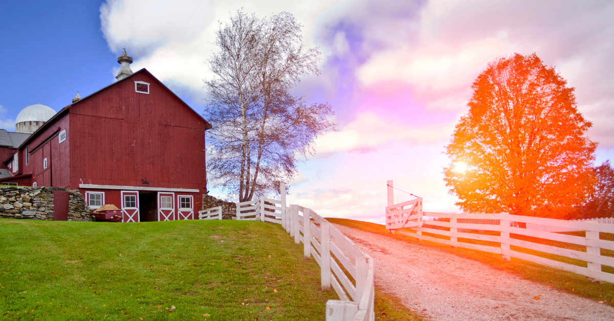 5 Reasons to Live on a Farm. At Established Moving & Storage we know