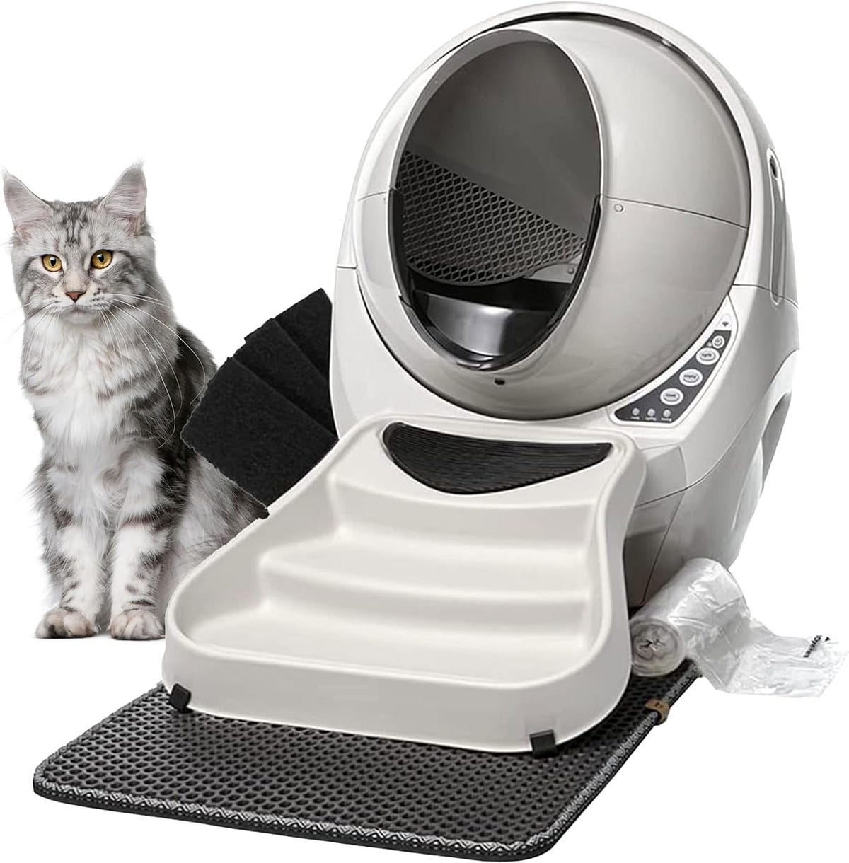 Best Self Cleaning Litter Boxes for cat by Isaiasschwartz Jan, 2024