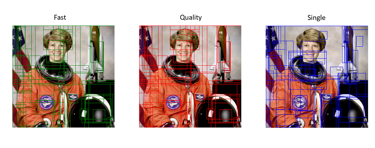 Understanding Selective Search for Object Detection | by Valentina Alto ...