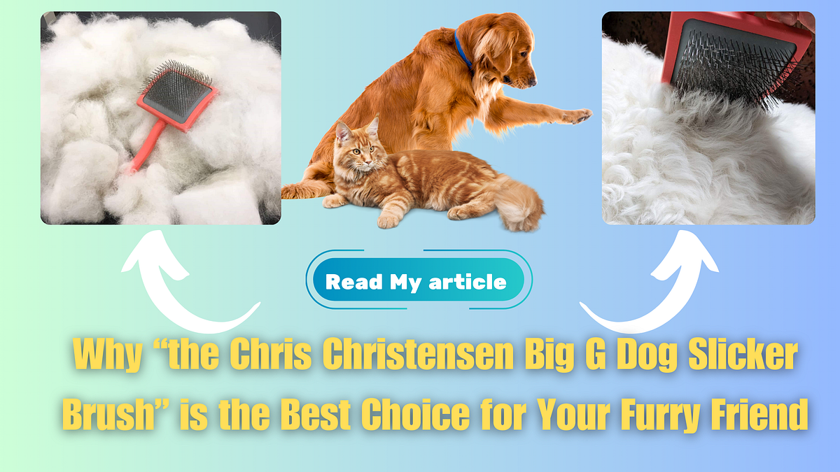 Unlock Professional Dog Grooming at Home Why the Chris Christensen Big