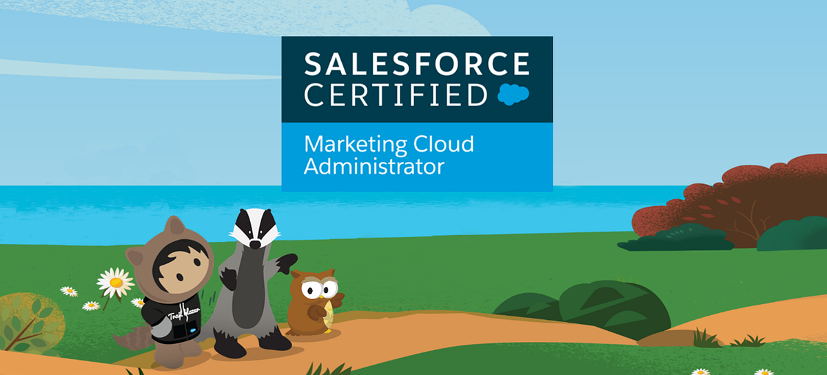Marketing-Cloud-Email-Specialist Zertifizierungsantworten