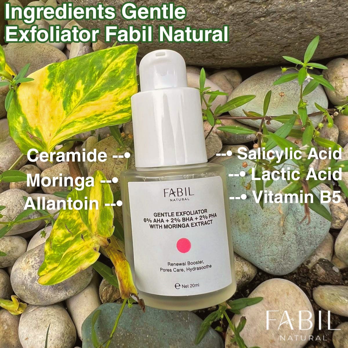 Ingredient Gentle Exfoliator Fabil Natural by