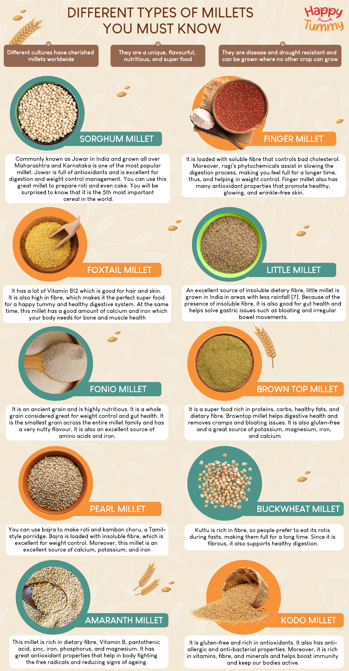 All about millet and different millet types