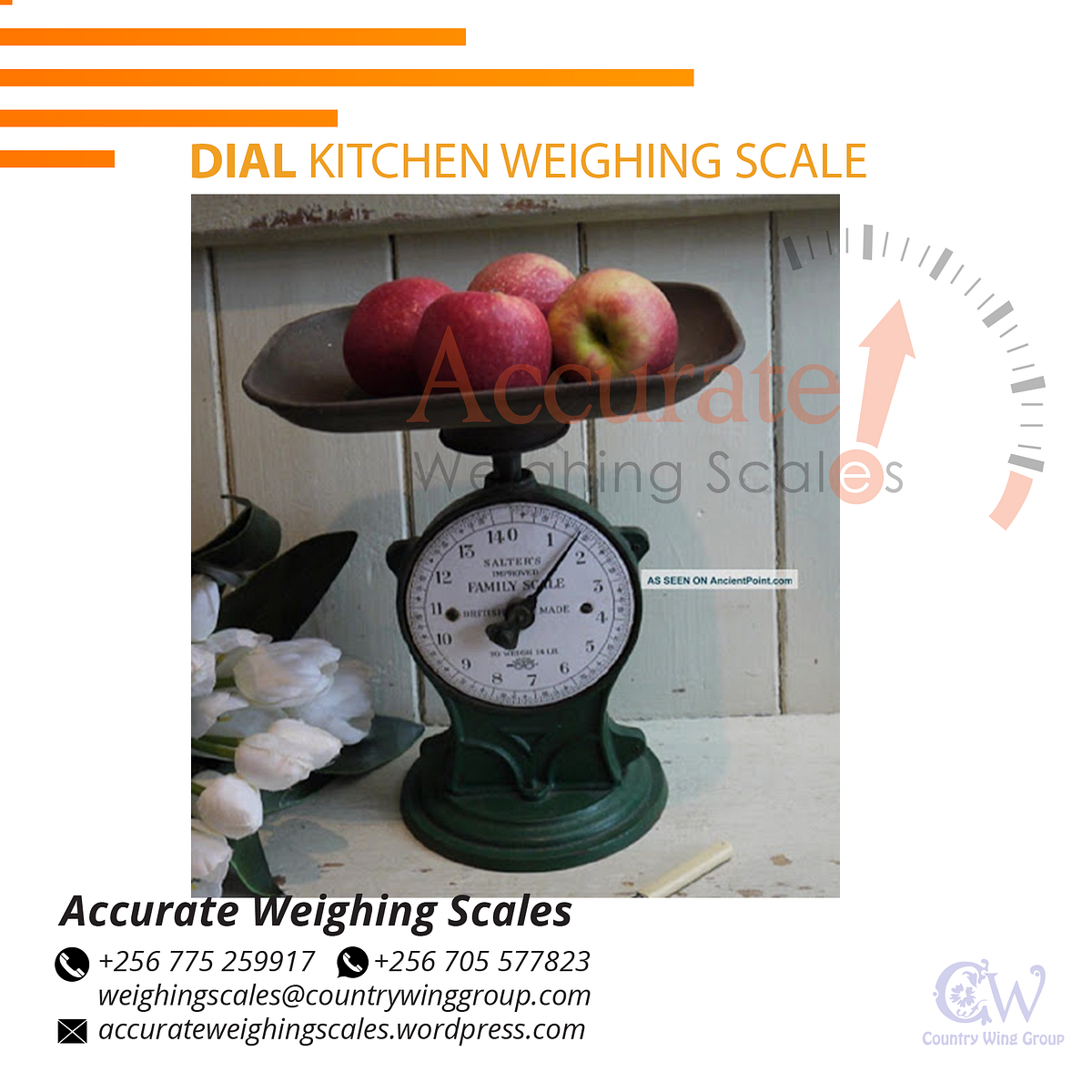 Spring gauge kitchen weight scale Steelyardmechanical Medium