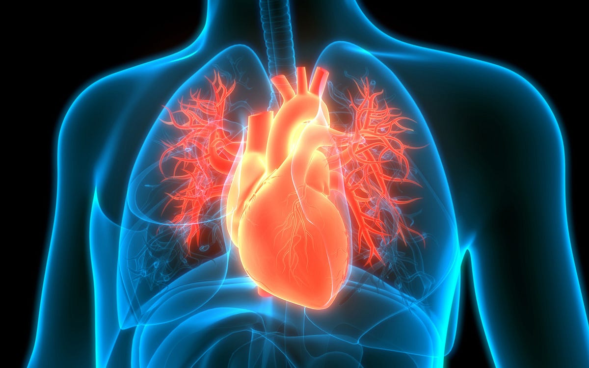 “Guardians of the Heart A Comprehensive Guide to Heart Health” by