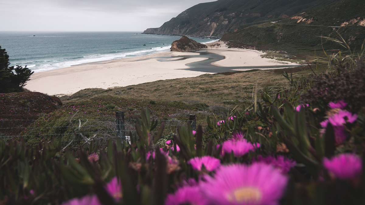 California Coercive Control Resources for Survivors by Coercive