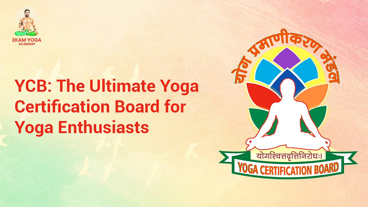 YCB The Ultimate Yoga Certification Board for Yoga Enthusiasts by