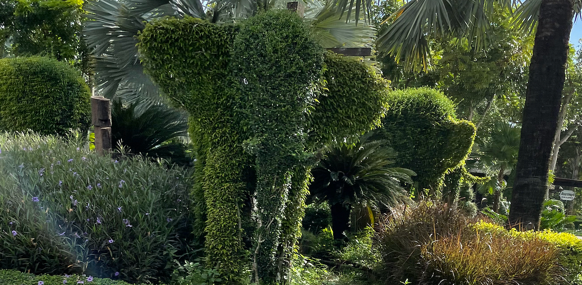 The return statement on Swift. On one of my test code, I call some