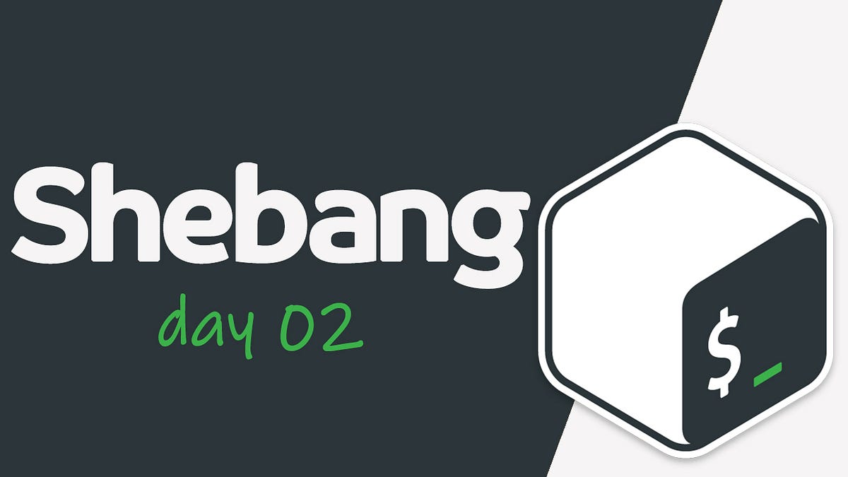 What is the bash she bang? How does it work? Why we need to use she