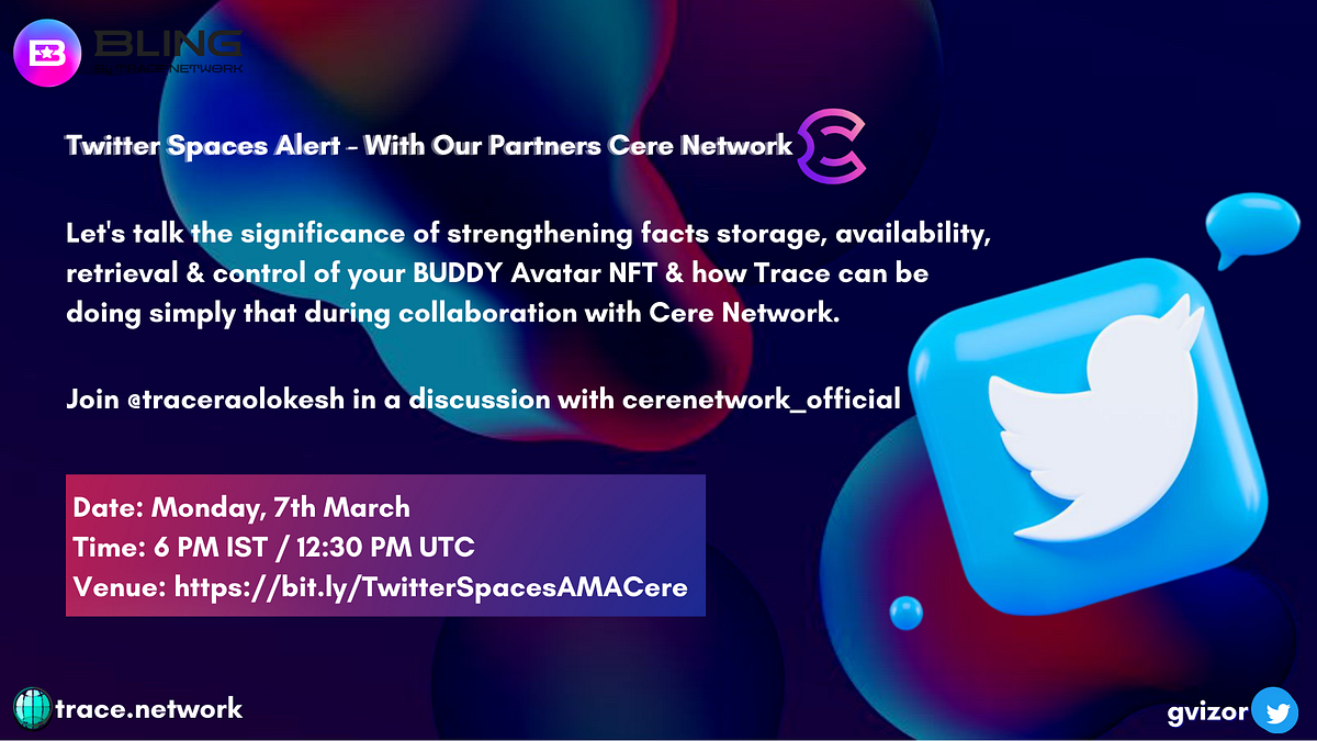 Trace Network Labs Godspower Kpobari Vizor Medium