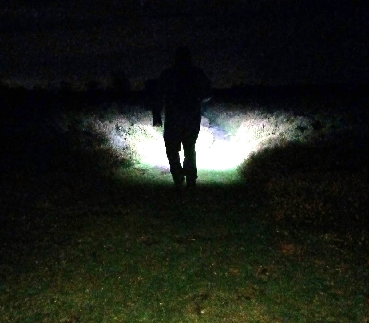 Nightwalking. Orienteering in the dark | by Debra Urbacz | Medium