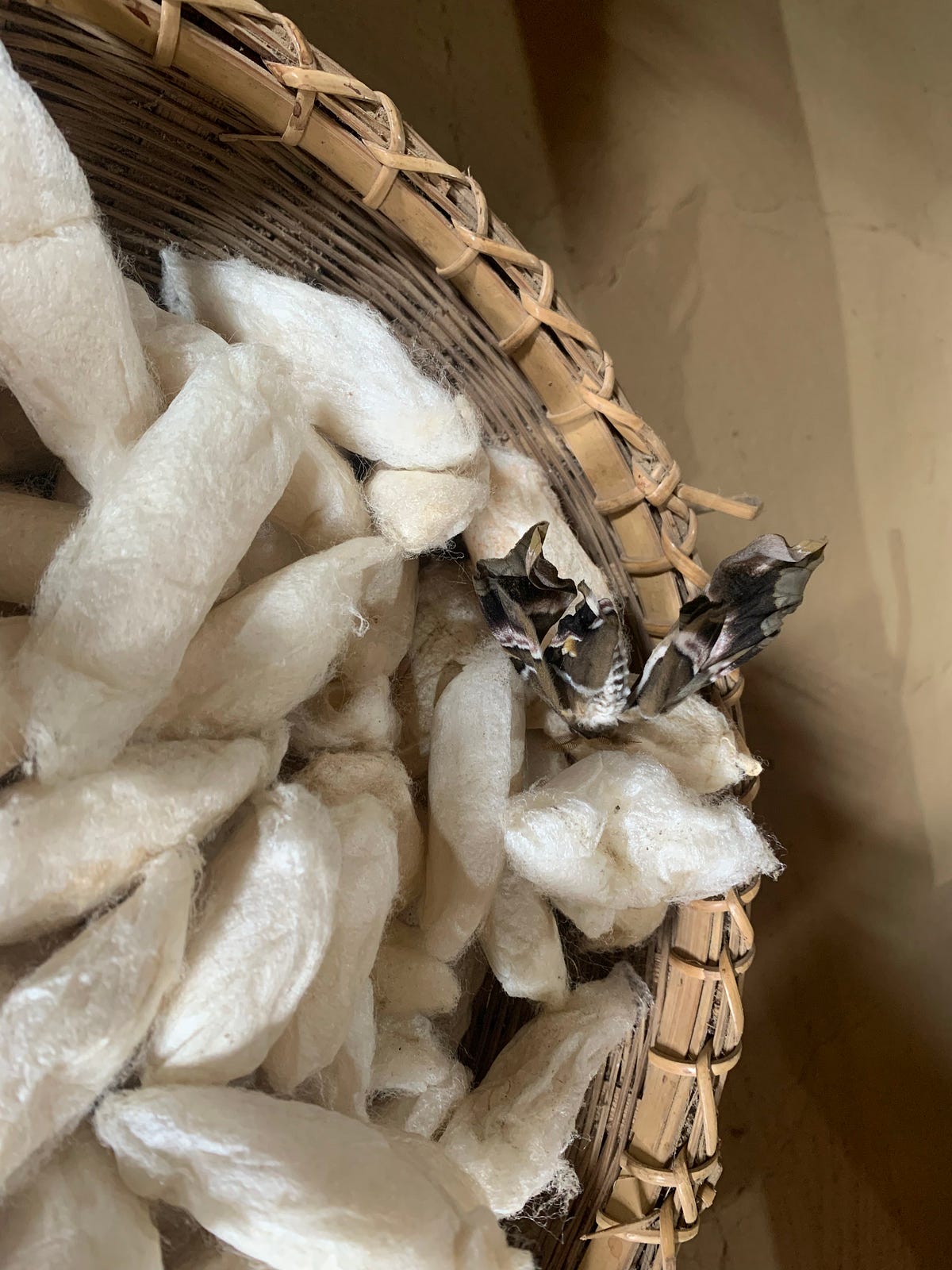 Eri Silk — The fabric of wellbeing by Centre of Excellence for Khadi