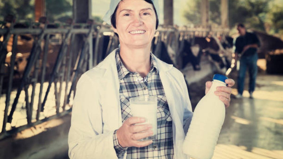 Understanding Dairyland Insurance A Comprehensive Guide for United