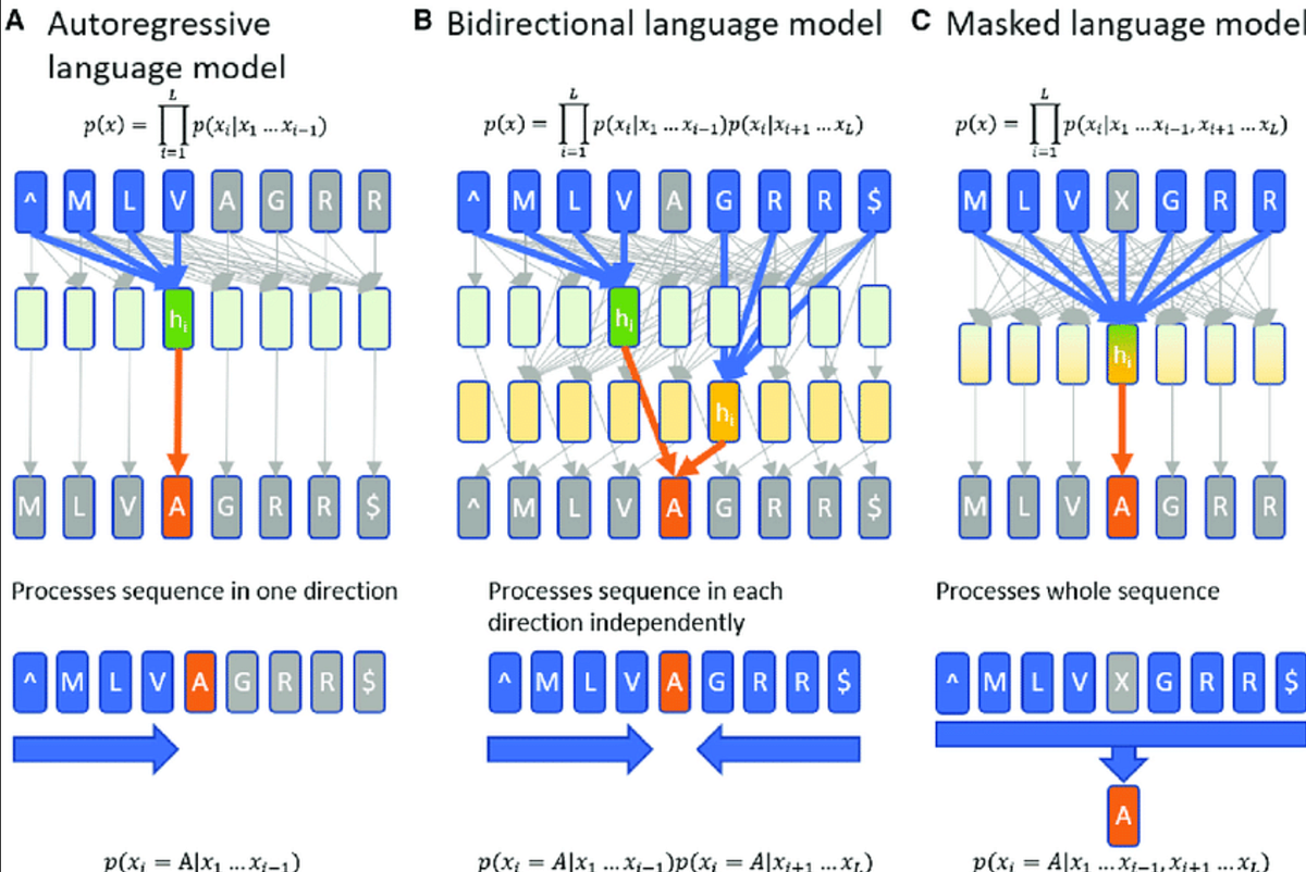 Mastering the World of Large Language Models: A Comprehensive Guide ...