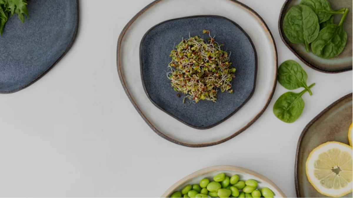 How much iron do I need?. Did you know, the average human adult… by