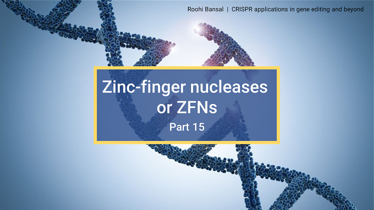 Zincfinger nucleases or ZFNs (Part 15 CRISPR in gene editing and
