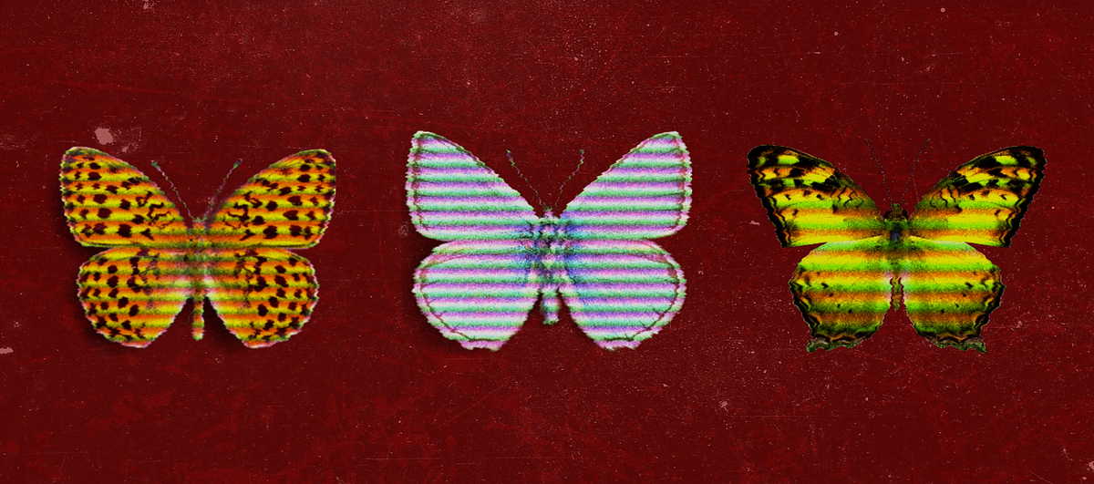 My Butterflies (About Anxiety). There are butterflies in me; Their… by Booboo Medium
