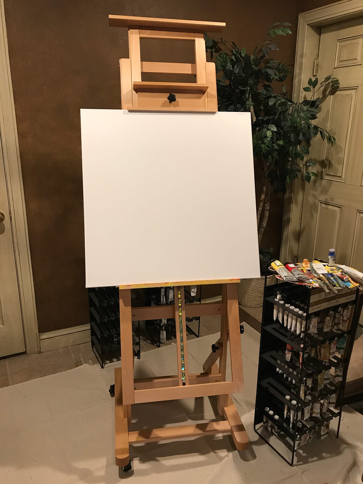 the beauty of a blank canvas. – THE LIFELONG LEARNER