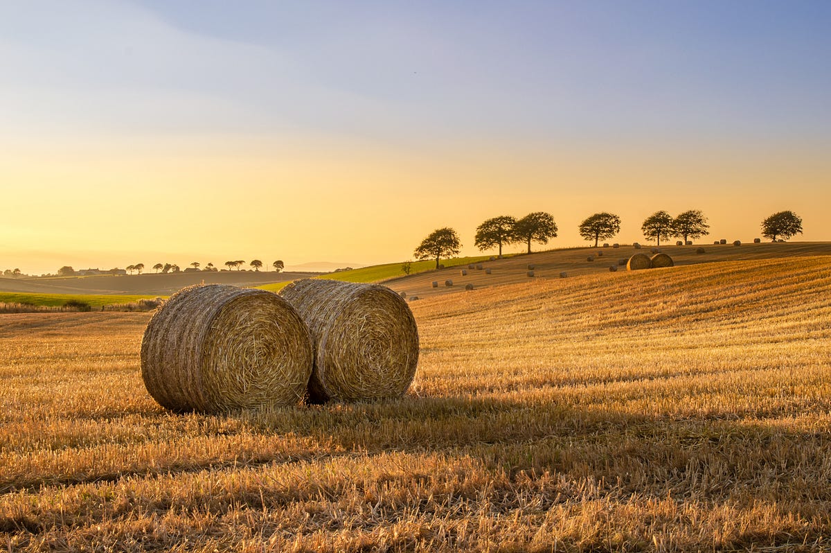 Three android apps for landscape photography that are actually useful