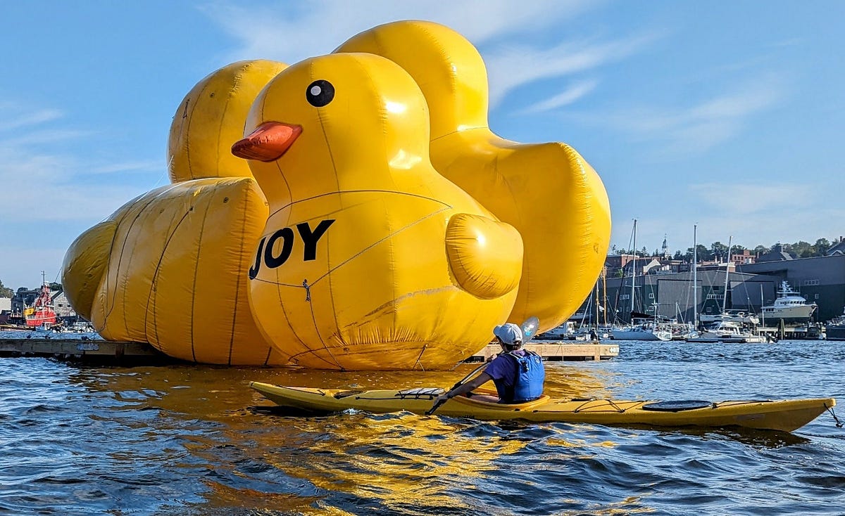 Giant inflatable ducks return to Belfast Harbor in Maine for a third year