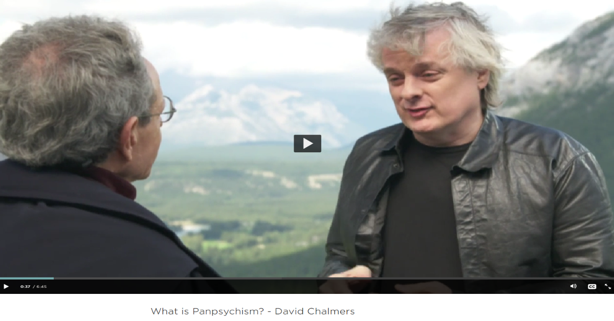 David Chalmers’ Panpsychist Dualism?