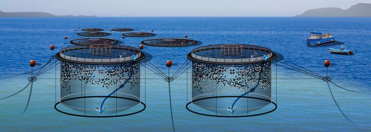 The Power of Vertical Machine Learning Startups | by John Cowgill ...