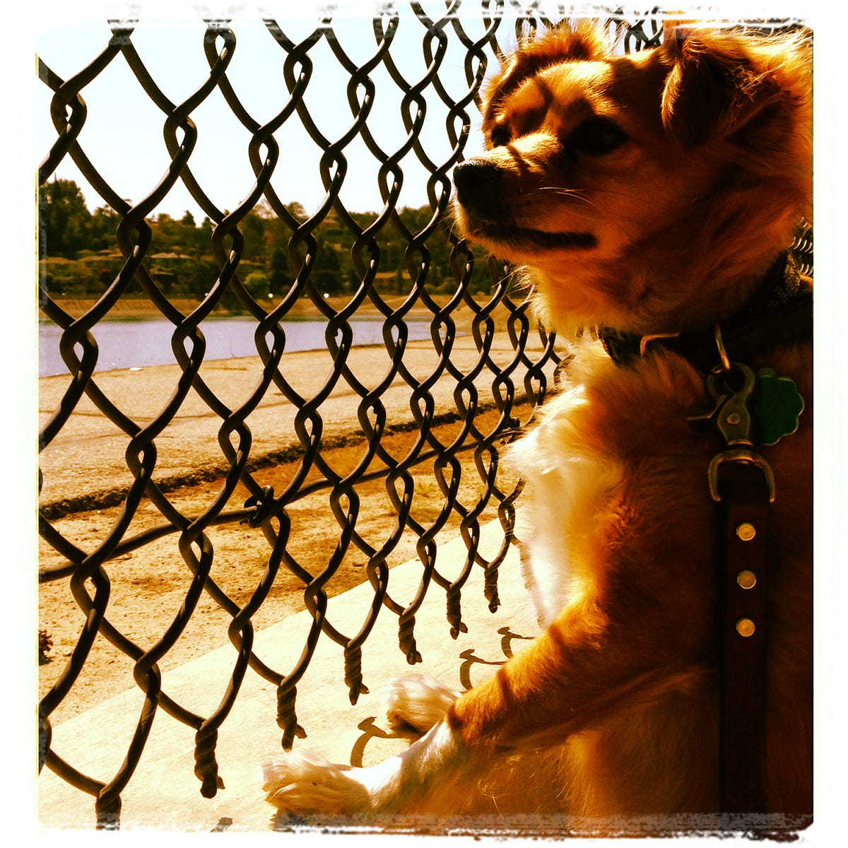 Break The Chains Find Your Meaning By Minnie s Magick Medium break-the-chains-find-your-meaning-by-minnie-s-magick-medium