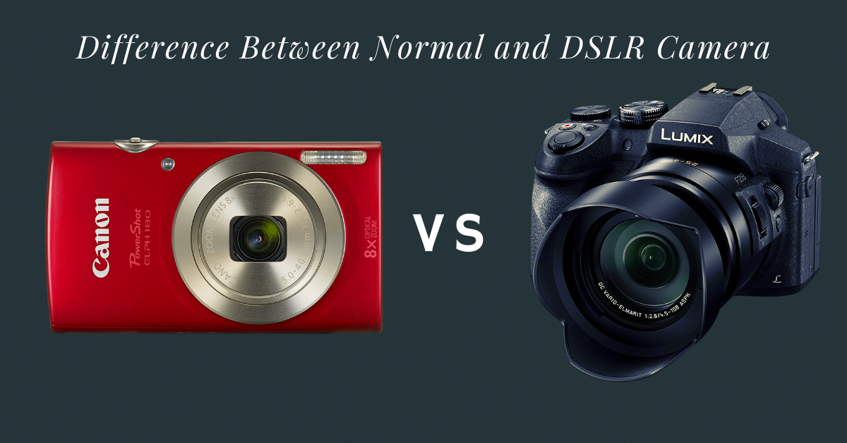 Wondering what the difference between a normal camera and a DSLR camera