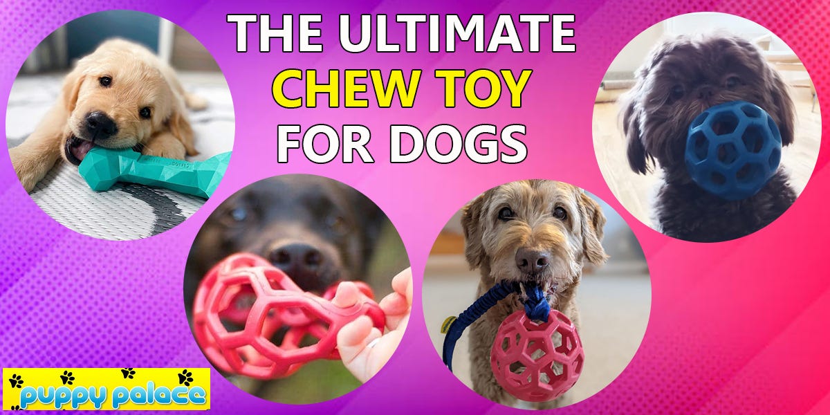 The Ultimate Chew Toy for Dogs Puppy Palace Medium