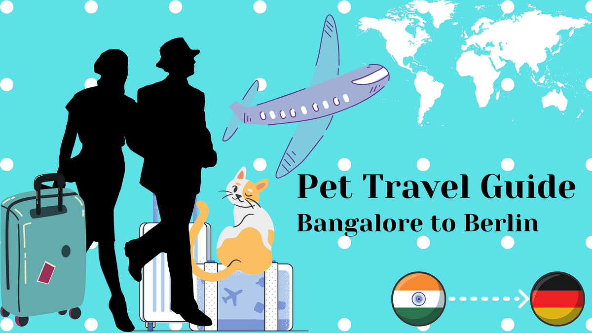 Pet Travel Guide Lufthansa India — Germany (International Bangalore to Berlin) by aknshk Medium