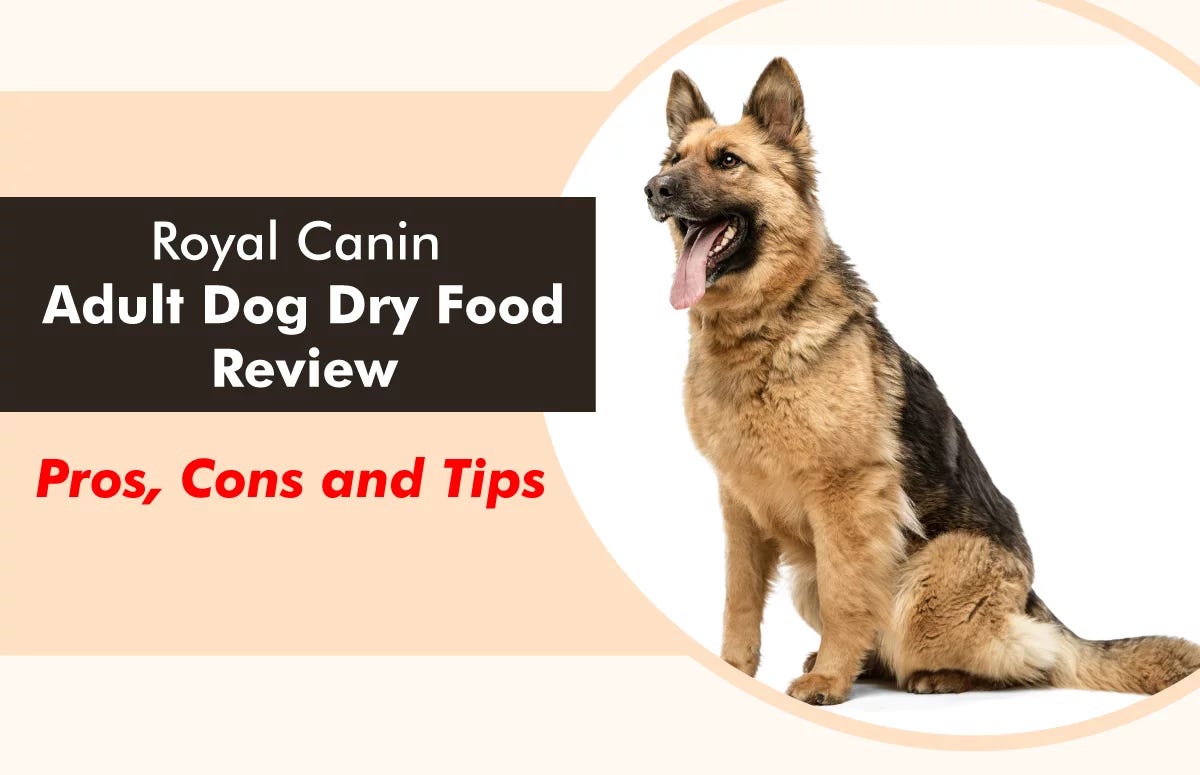 Royal Canin Adult Dog Dry Food Review Pros, Cons and Tips by