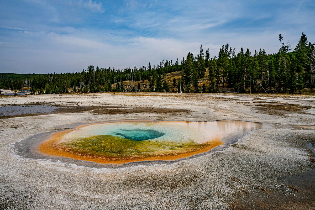 UNVEILING YELLOWSTONE NATIONAL PARK: AMERICA’S NATURAL TREASURE  by 