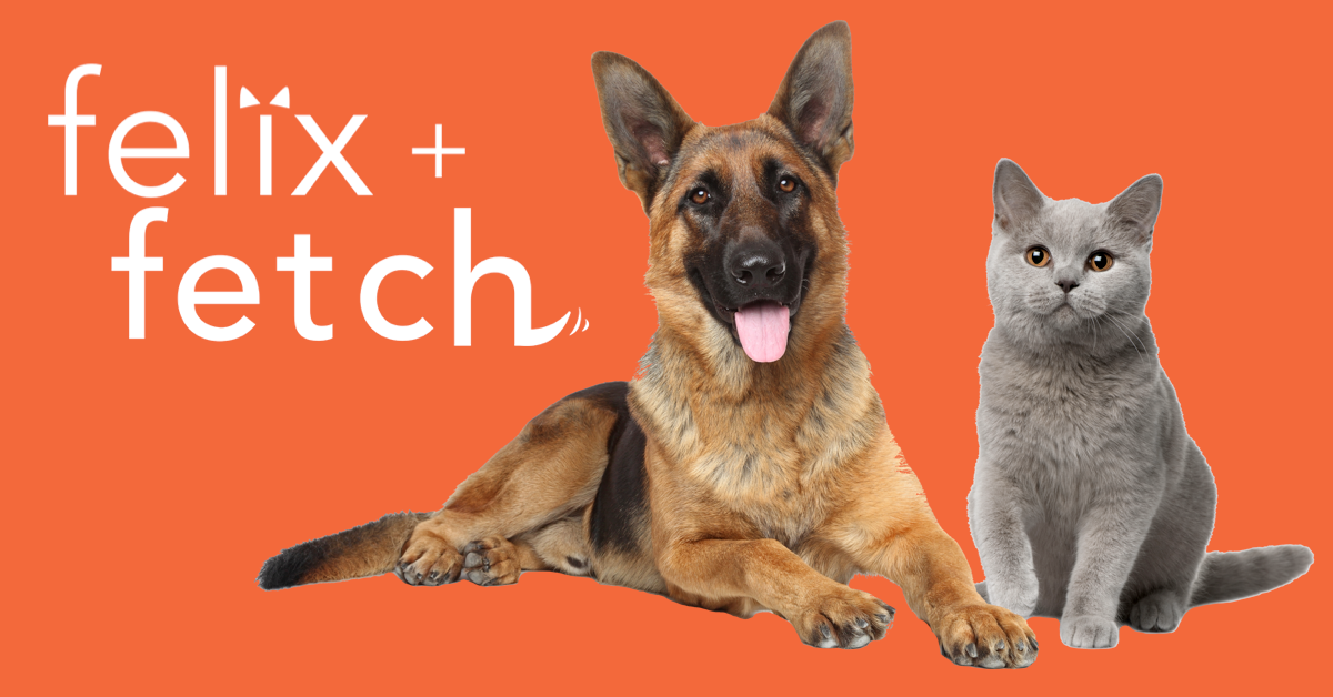 How To Treat Your Pet Dog With AntiAnxiety Dog Treats? by