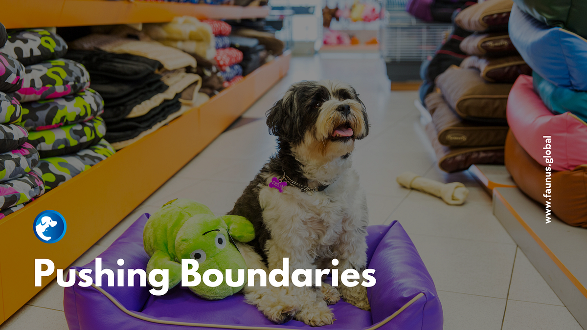 Pushing Boundaries FAUNUS Global Medium