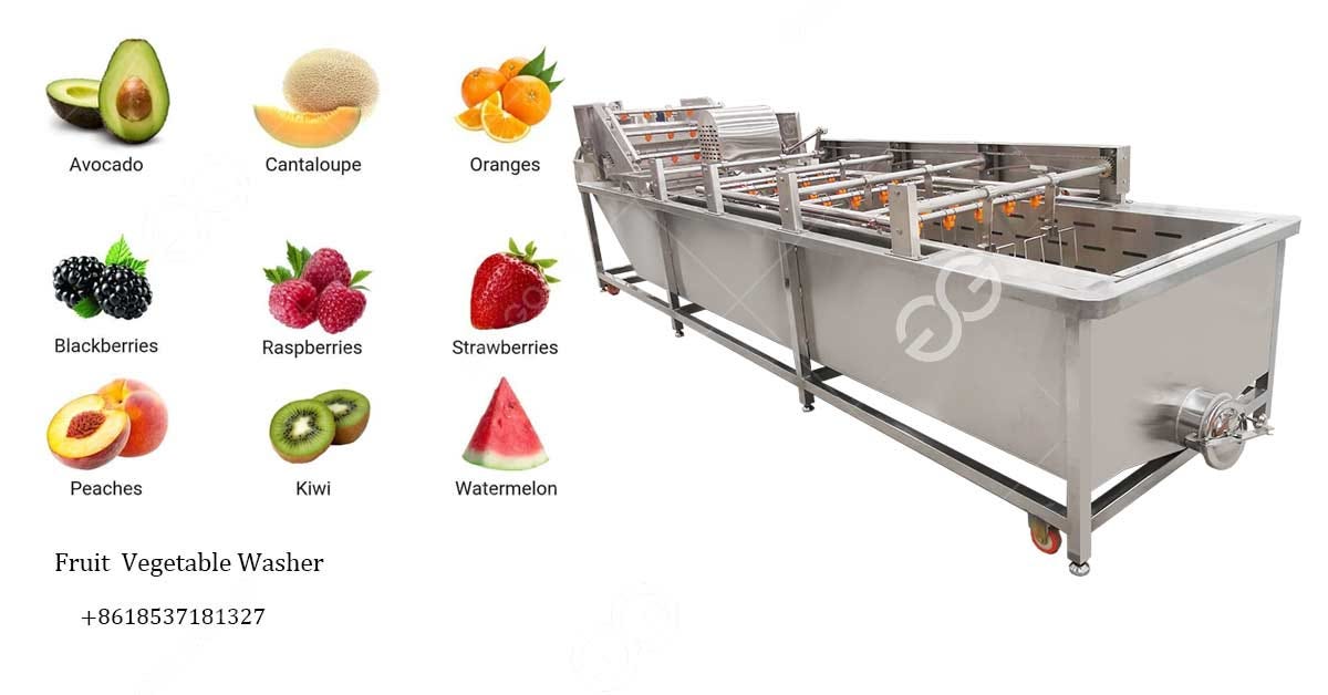 Fruit and Vegetable Washing Machine Essentials
