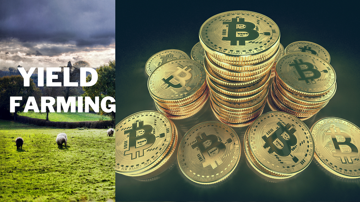 Agricultural cryptocurrency (84) 사진