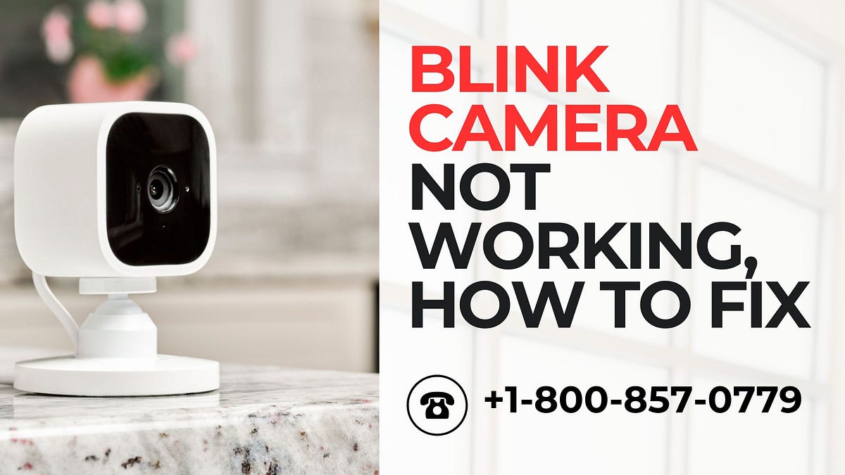Blink Camera Not Working, How to Fix Call +18008570779 by Cameraring May, 2024 Medium