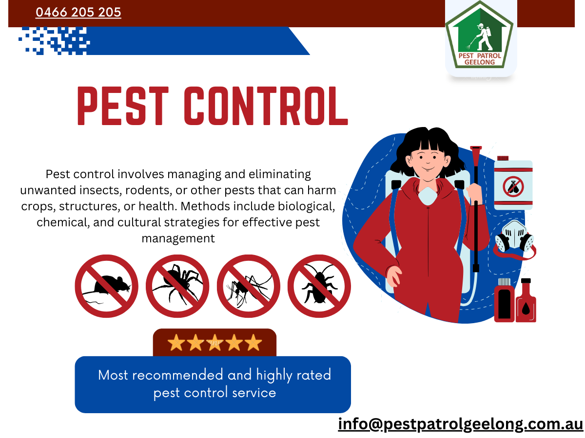 Everything You Need to Know About Pest Control Services by pestpatrol