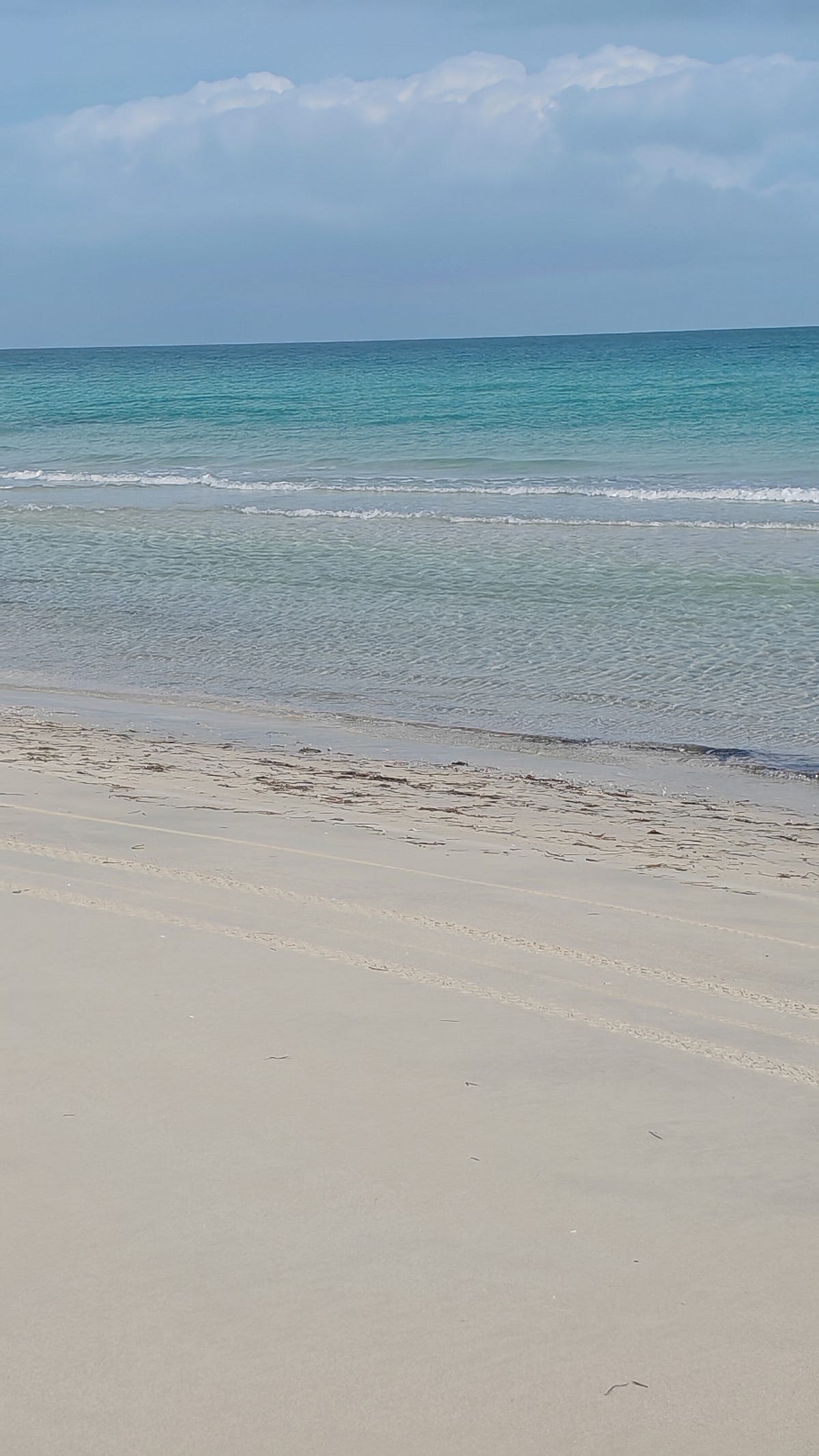 FROM CHAOS 2 COMMAND