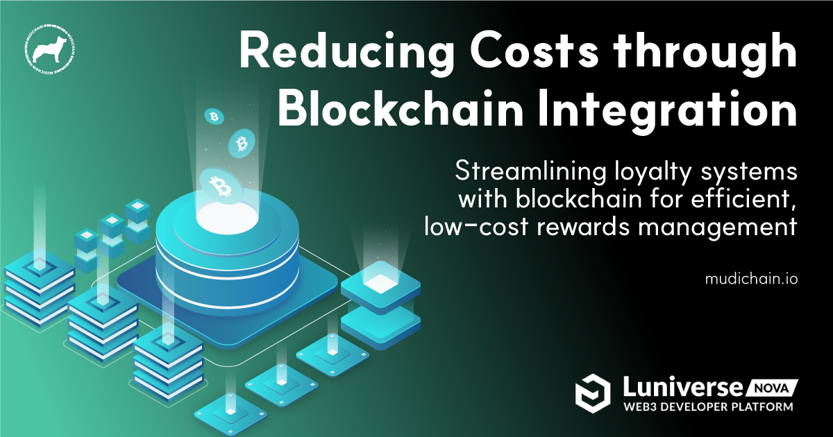 Reducing Costs through Blockchain Integration - Mudichain - Medium