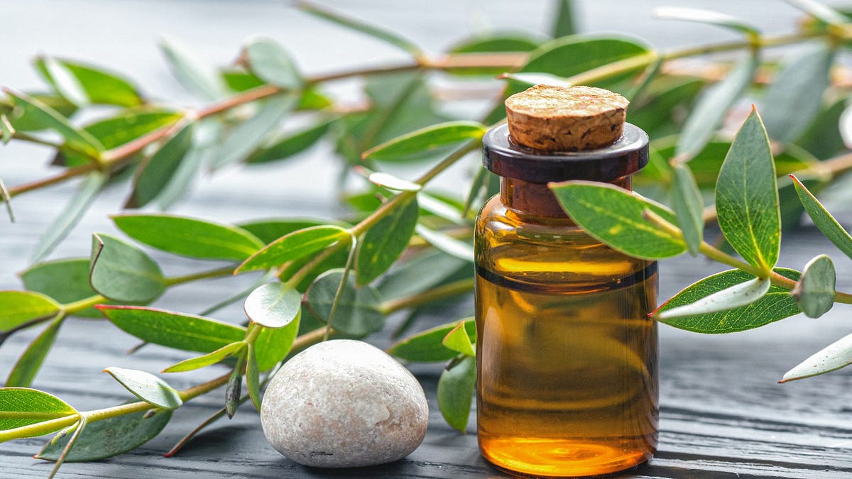 Relieve Your Sunburns With Eucalyptus Oil In These Easy Ways by