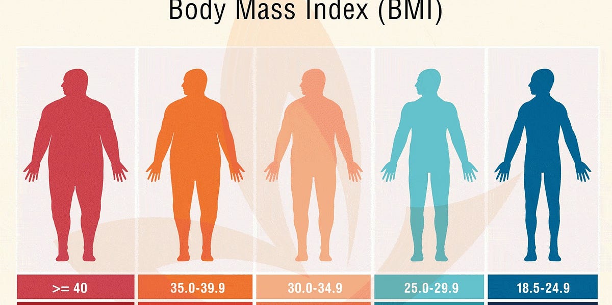Your BMI and Health Status. Your BMI and Health Status by Paul