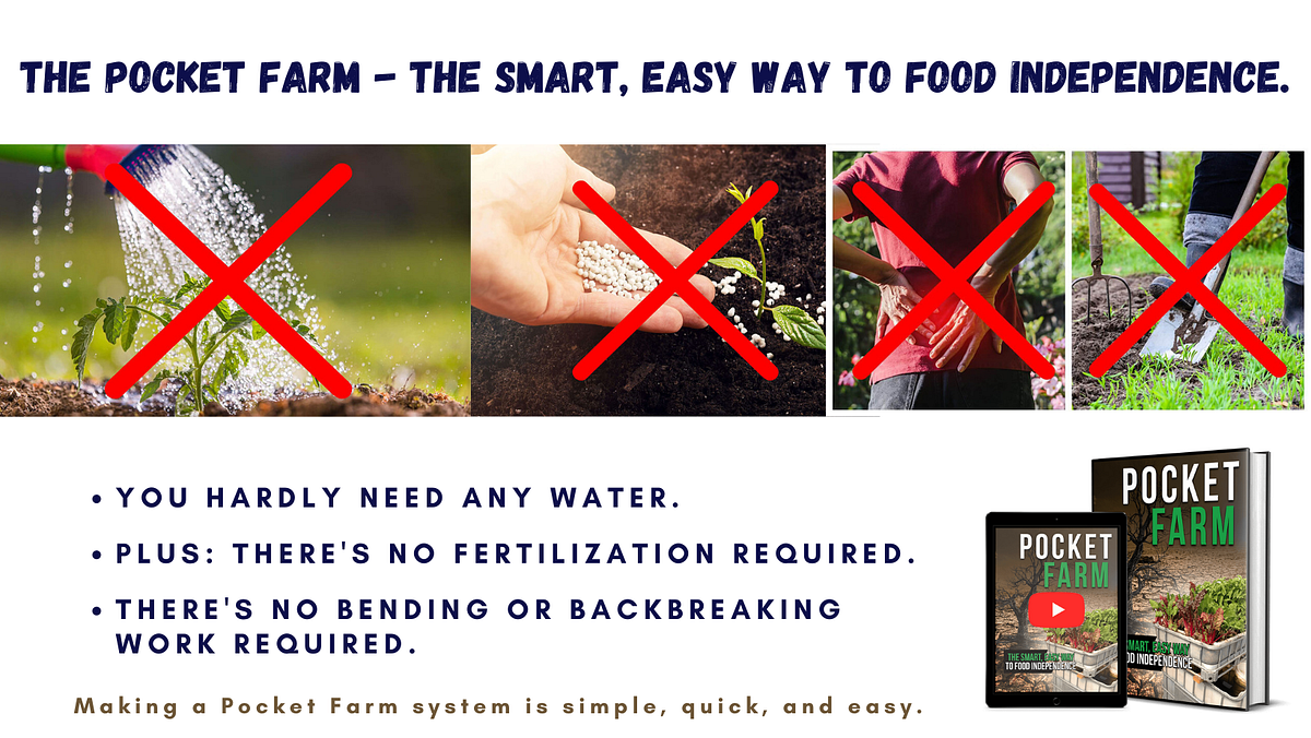 Pocket Farm Review The Aquaponics System You Won’t Believe! by