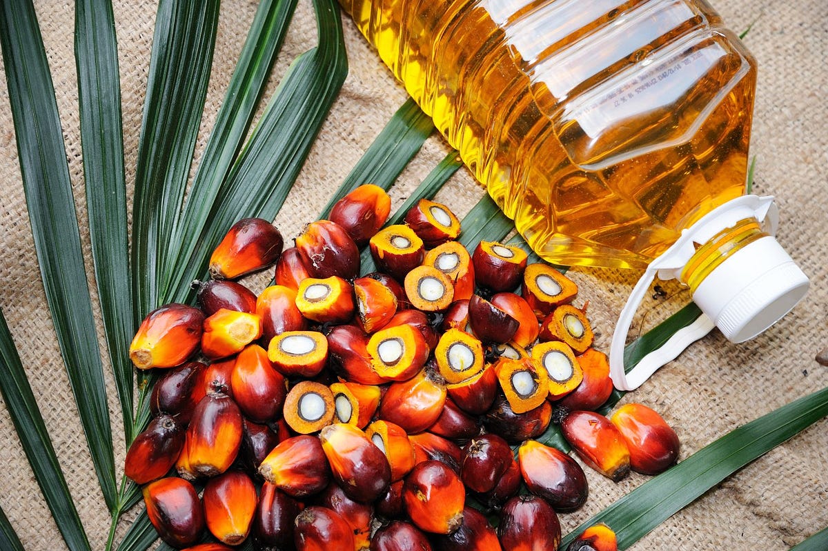 Palm Oil — Good or Bad. Palm oil is the most efficient oil… by Gareth