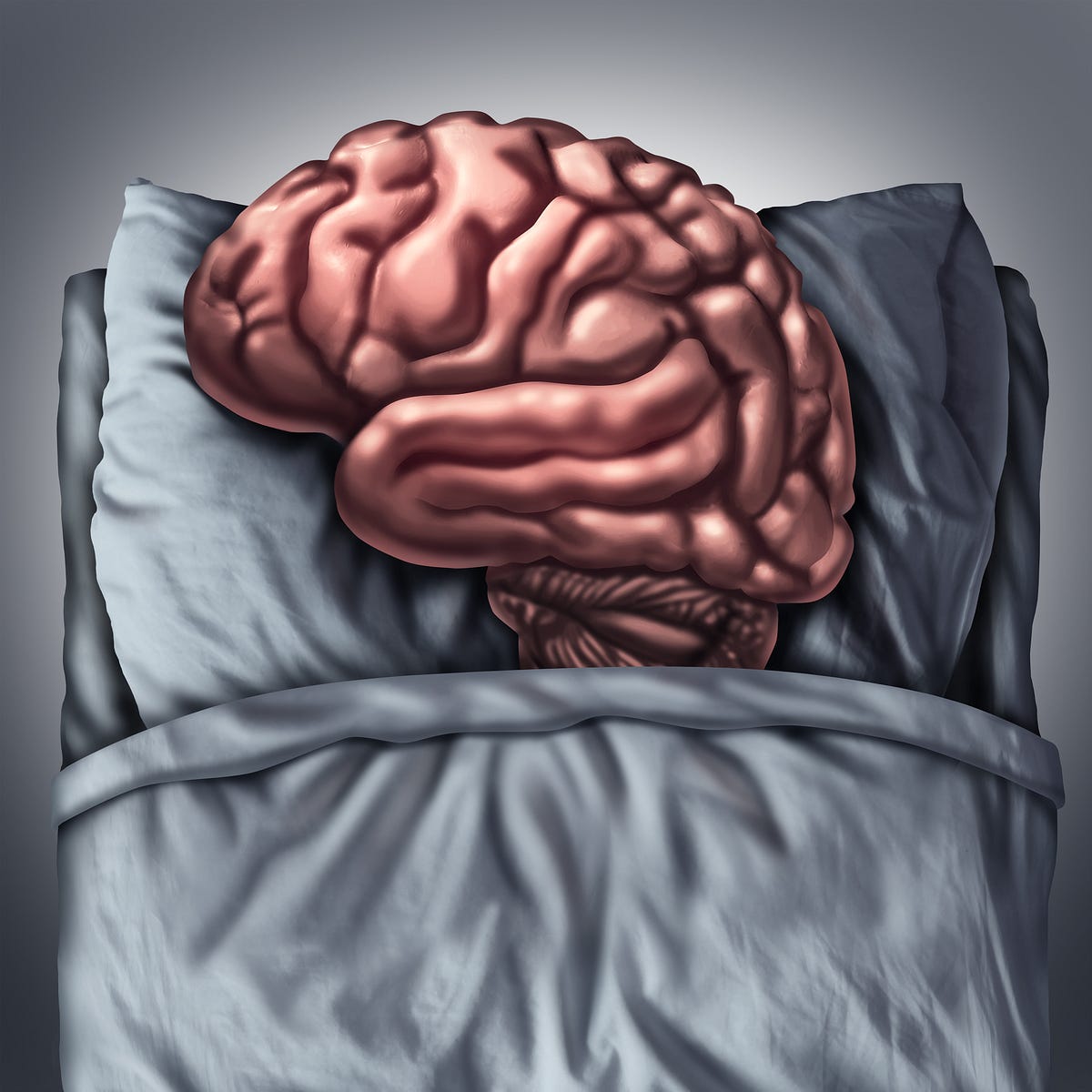 Работа мозга во время сна. Усталый мозг. Сон и мозг. Головной мозг и сон.